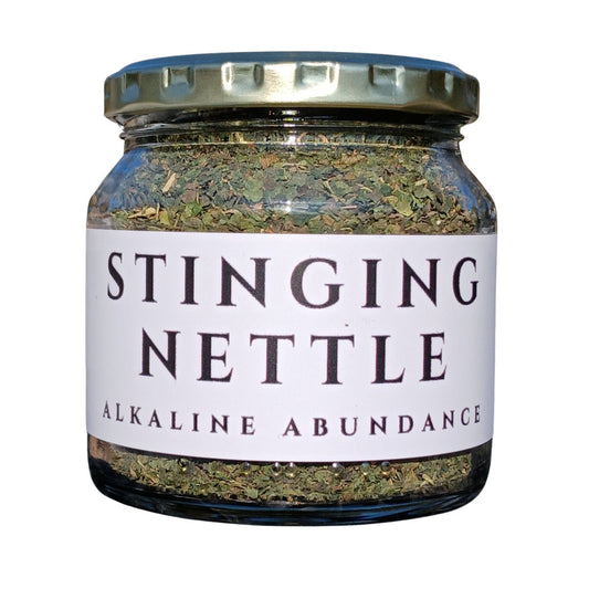 Stinging Nettle
