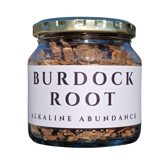Burdock Root